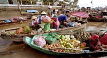 mekongdelta