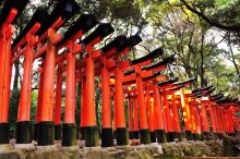 Fushimi Inari