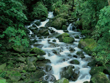 afueras-del-valle-central