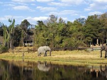 savuti-safari-lodge-1