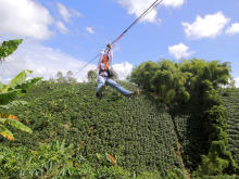 affeezone-bosque-de-saman-3-