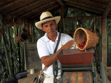 affeezone-bosque-de-saman-2-