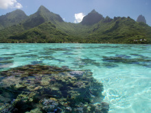 moorea-6-