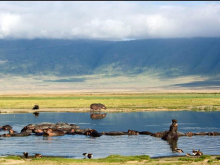 ngorongoro-1