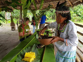 Ecuador Reisen - Individualreisen Amerika - Ecuador – Natur, Kultur & Amazonas-Dschungel