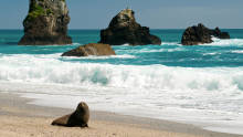 n1-munro-beach-3-