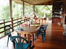 Selva Bananito Lodge