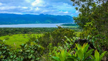 Arenalsee