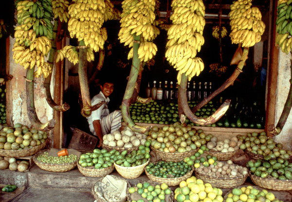 Sri Lanka - authentisch erleben