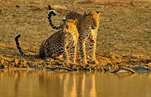 Yala Nationalpark