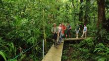 Tortuguero Nationalpark