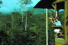 Selva Bananito