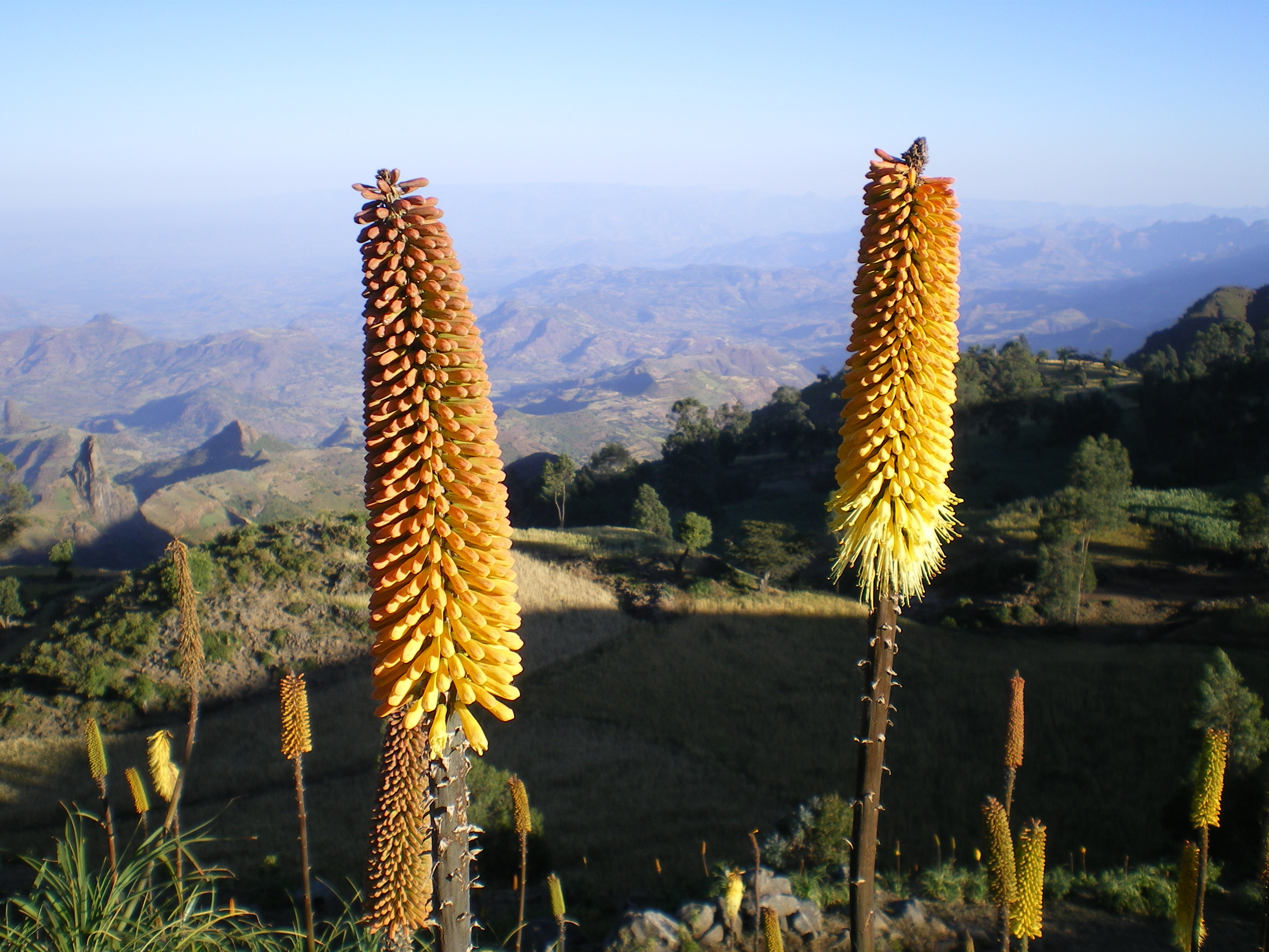 Äthiopien Reisen - Trekking Tour Paradise Reise Service