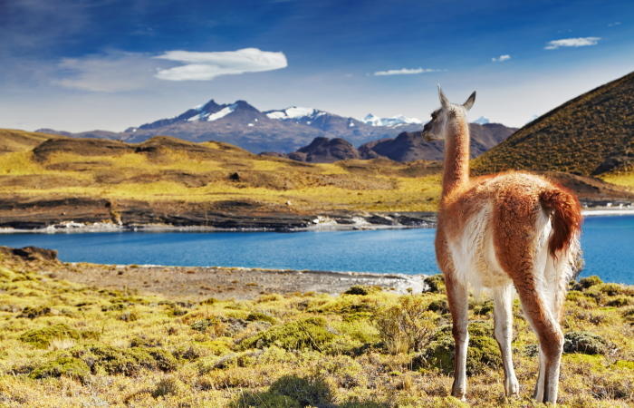 Classic Chile - eine Reise zu den Höhepunkten Chiles