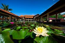 Pandanus Resort