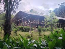 Hakuna Matata Amazon Lodge