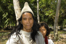 Indiginas