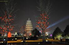 Große Wildgans Pagode