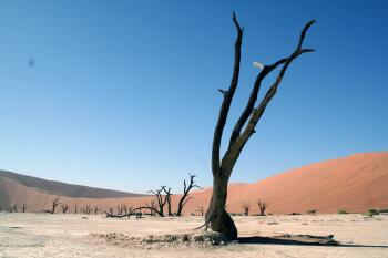 Flugreisen - Namibia - Höhepunkte