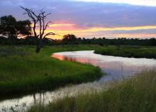 Hluhluwe NP