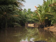 Mekong Delta