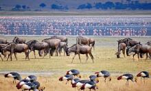 Lake Manyara Nationalpark