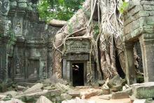 Ta Phrom Tempel