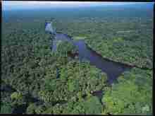 Tortuguero Nationalpark