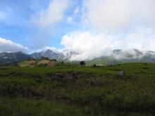 Chiriqui