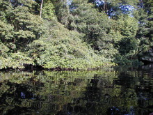 Tortuguero Nationalpark