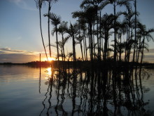 Flußlandschaft bei der Lodge